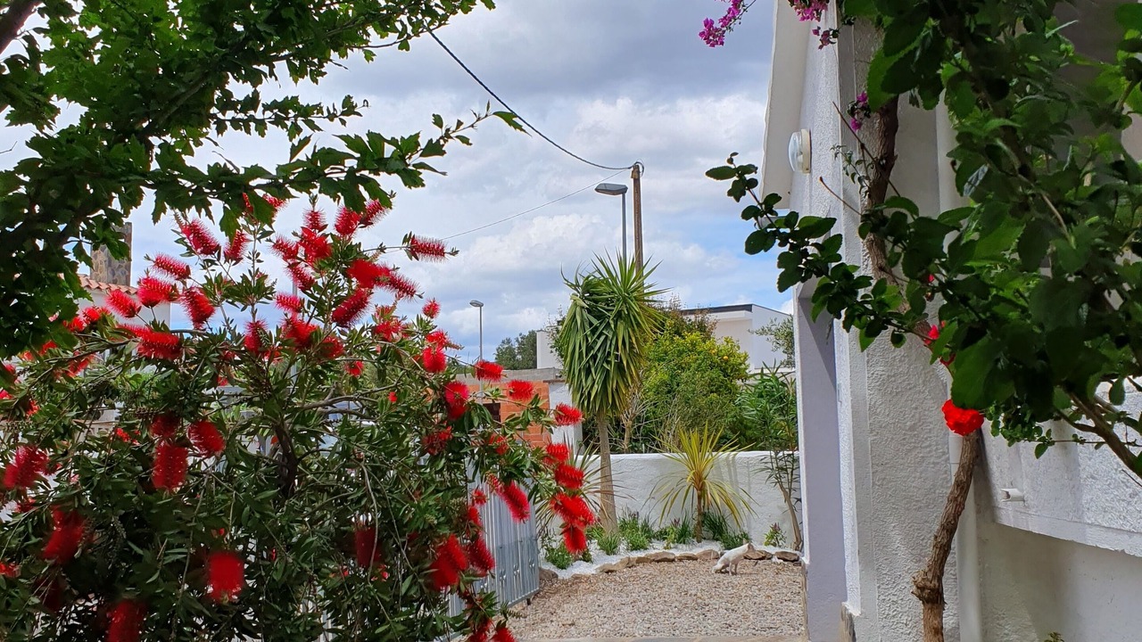 Photo of Outdoor in El Mas Bosca