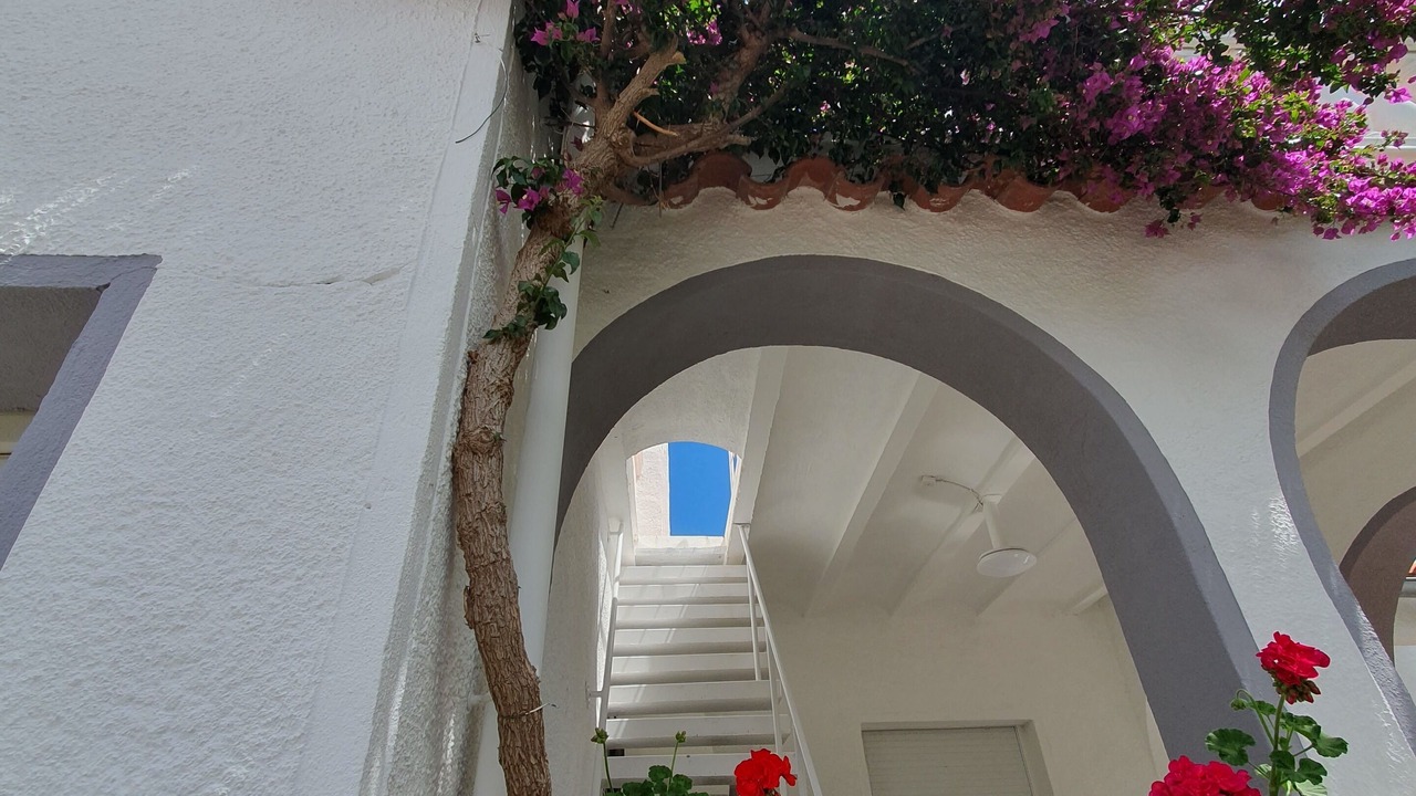 Photo of Outdoor in El Mas Bosca
