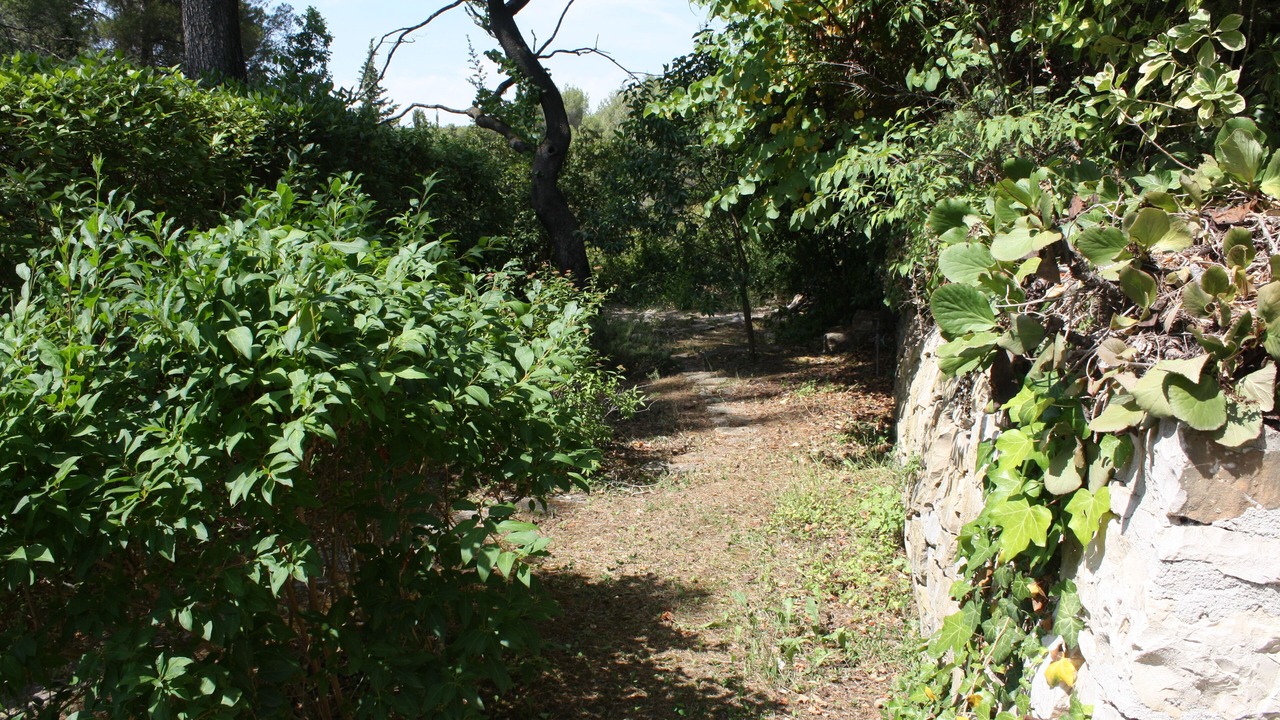 Photo of Outdoor in Sud