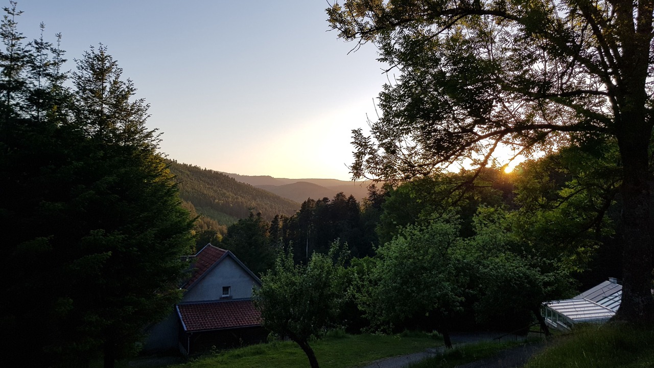 Photo of Outdoor in Natzwiller