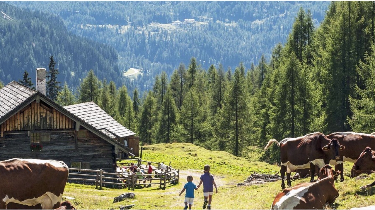 Photo of Outdoor in Les Esserts