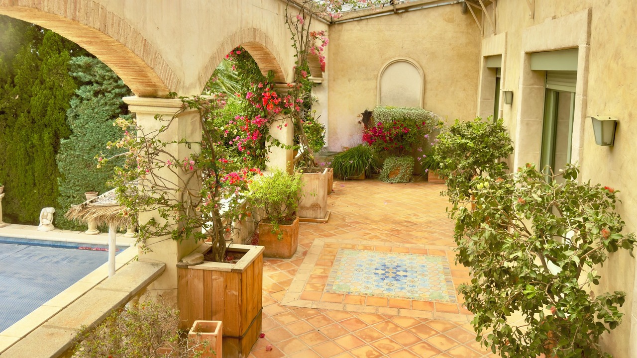 Photo of Outdoor in Roses