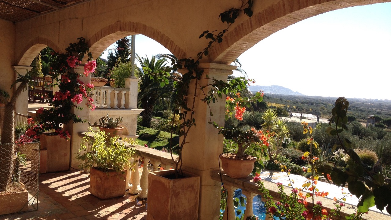 Photo of Patio Balcony in Roses