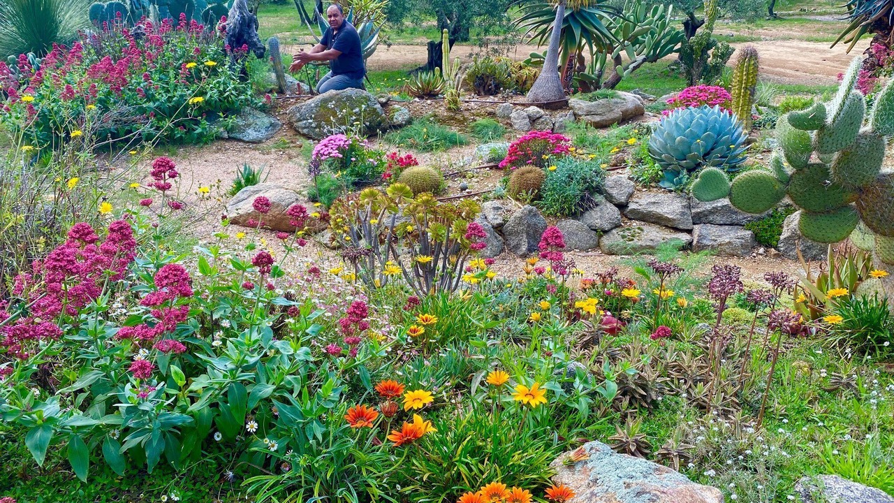 Photo of Outdoor in Roses