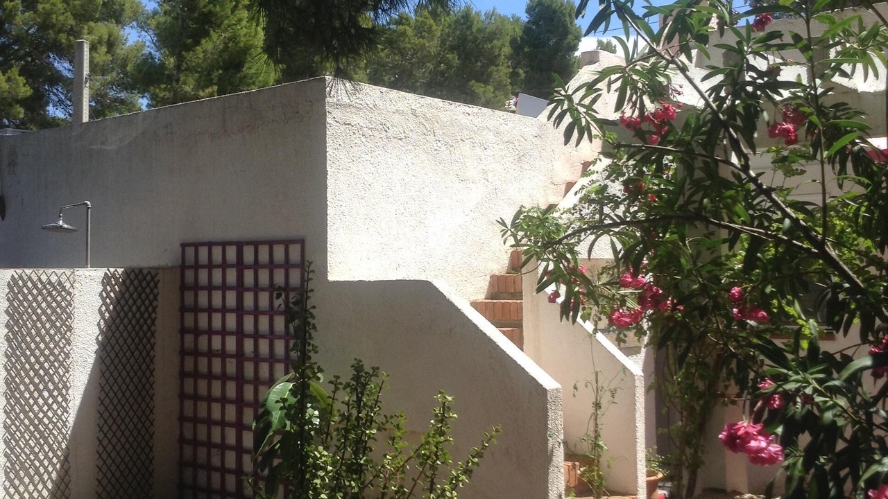 Photo of Outdoor in Calafat