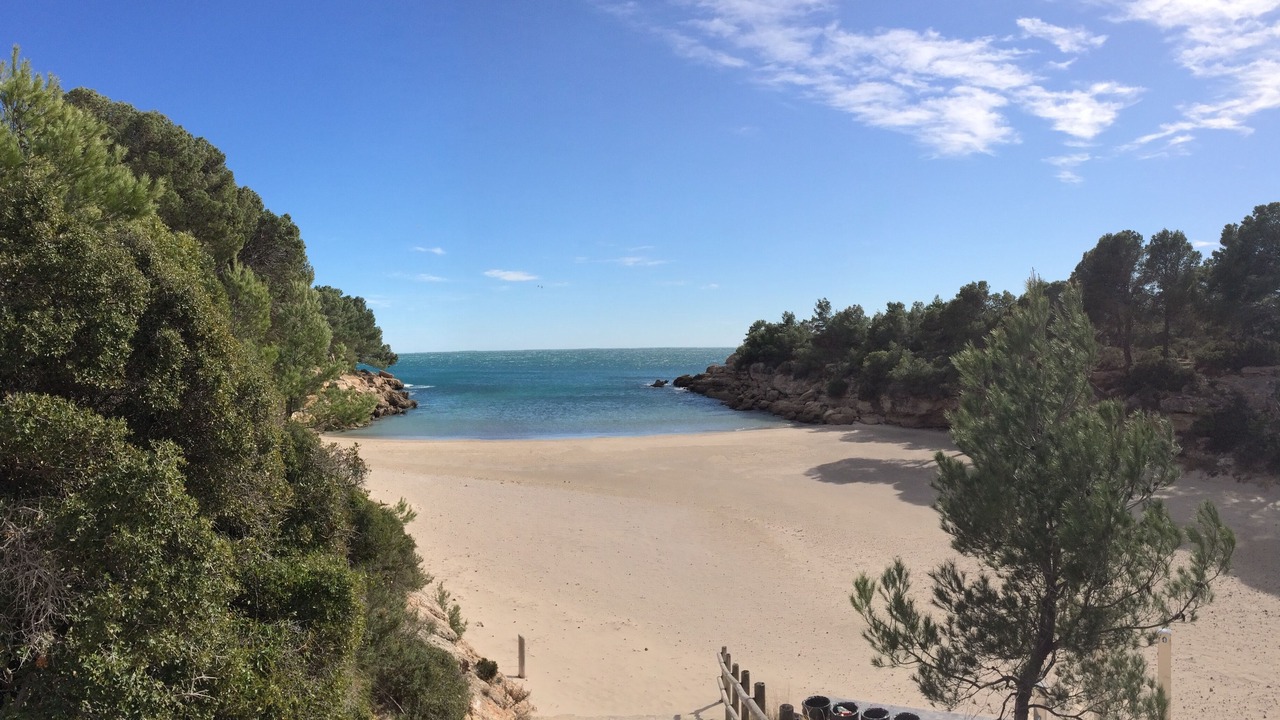 Photo of Others in Calafat