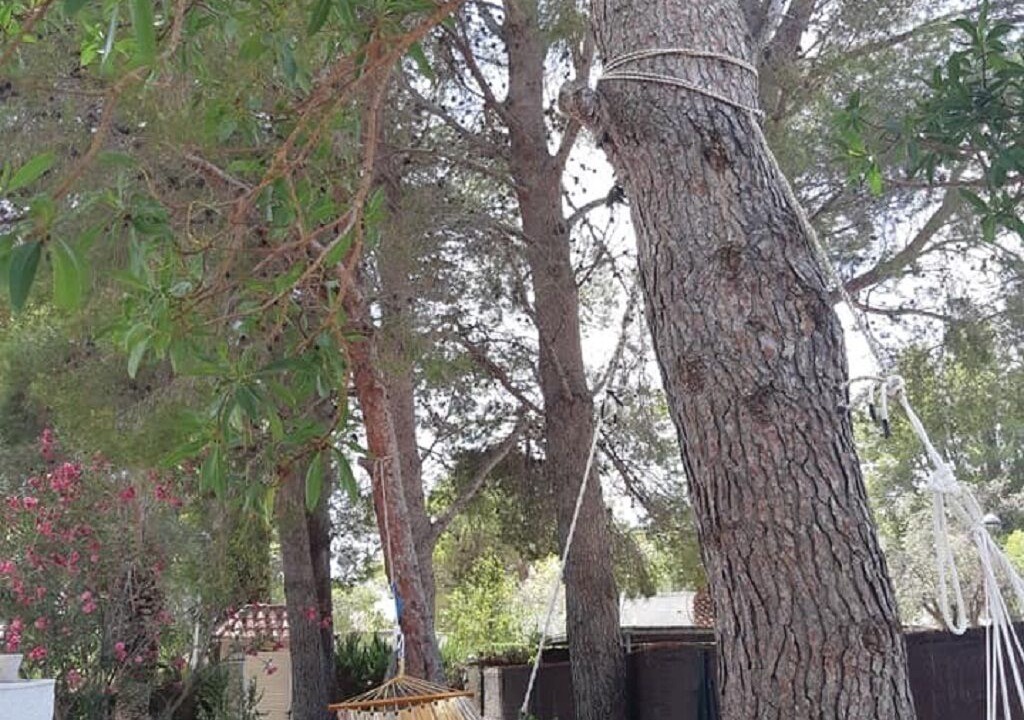 Photo of Outdoor in Calafat