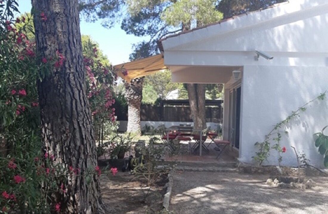Photo of Outdoor in Calafat