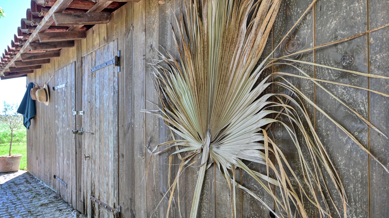 Photo of Outdoor in Beaucaire