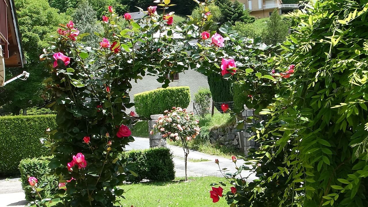 Photo of Outdoor in Cauterets
