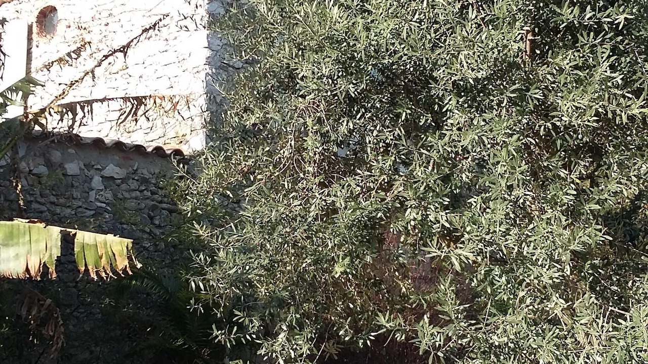 Photo of Outdoor in La Batie-Rolland