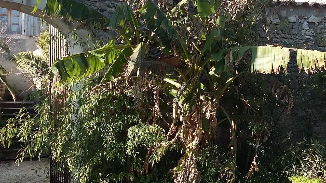 Photo of Outdoor in La Batie-Rolland