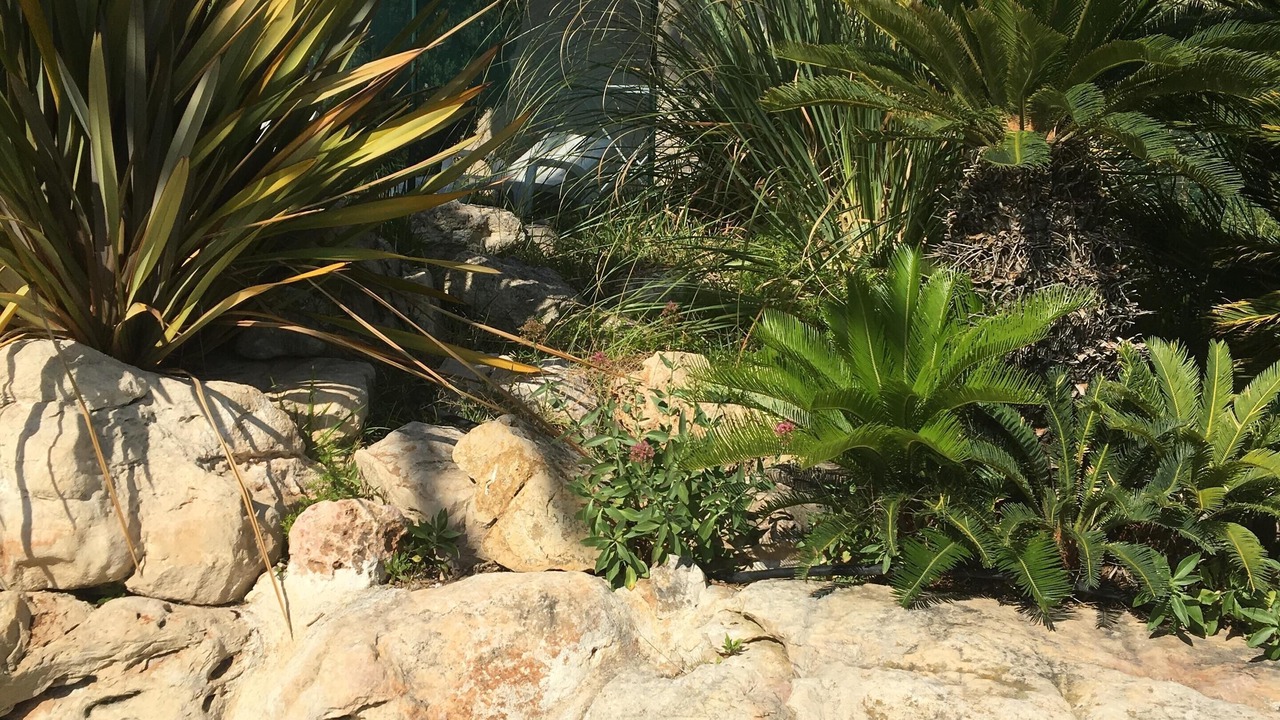 Photo of Outdoor in Sausset-les-Pins