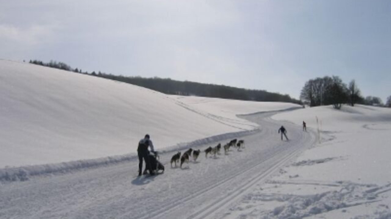 Photo of Others in Lacoux