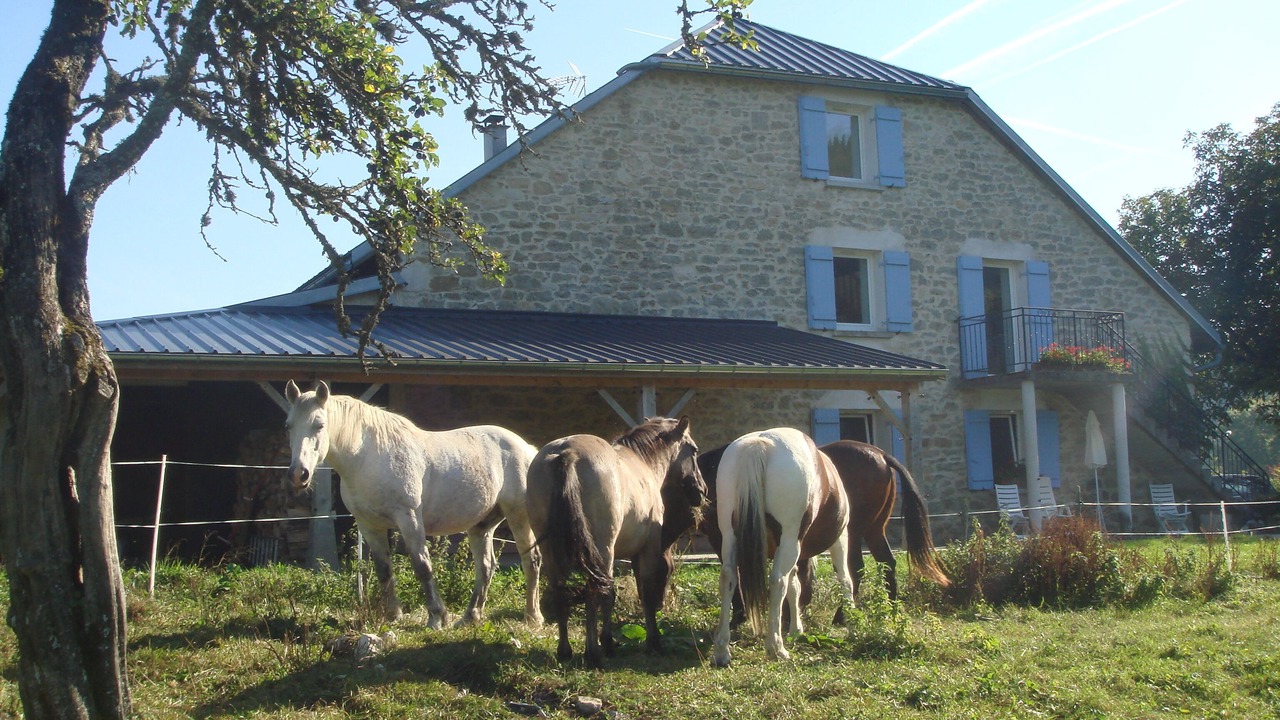 Photo of Outdoor in Lacoux