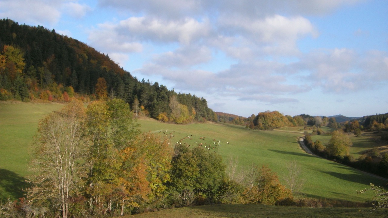 Photo of Others in Lacoux