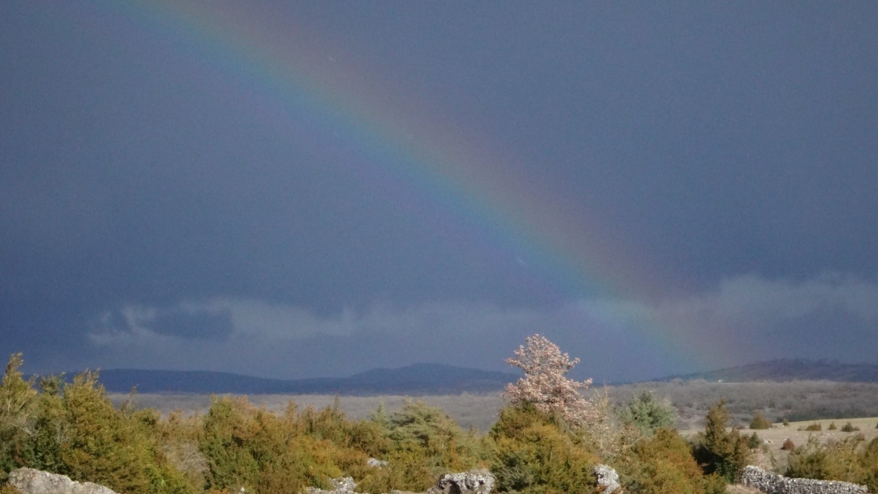 Photo of Others in Sainte-Eulalie-de-Cernon