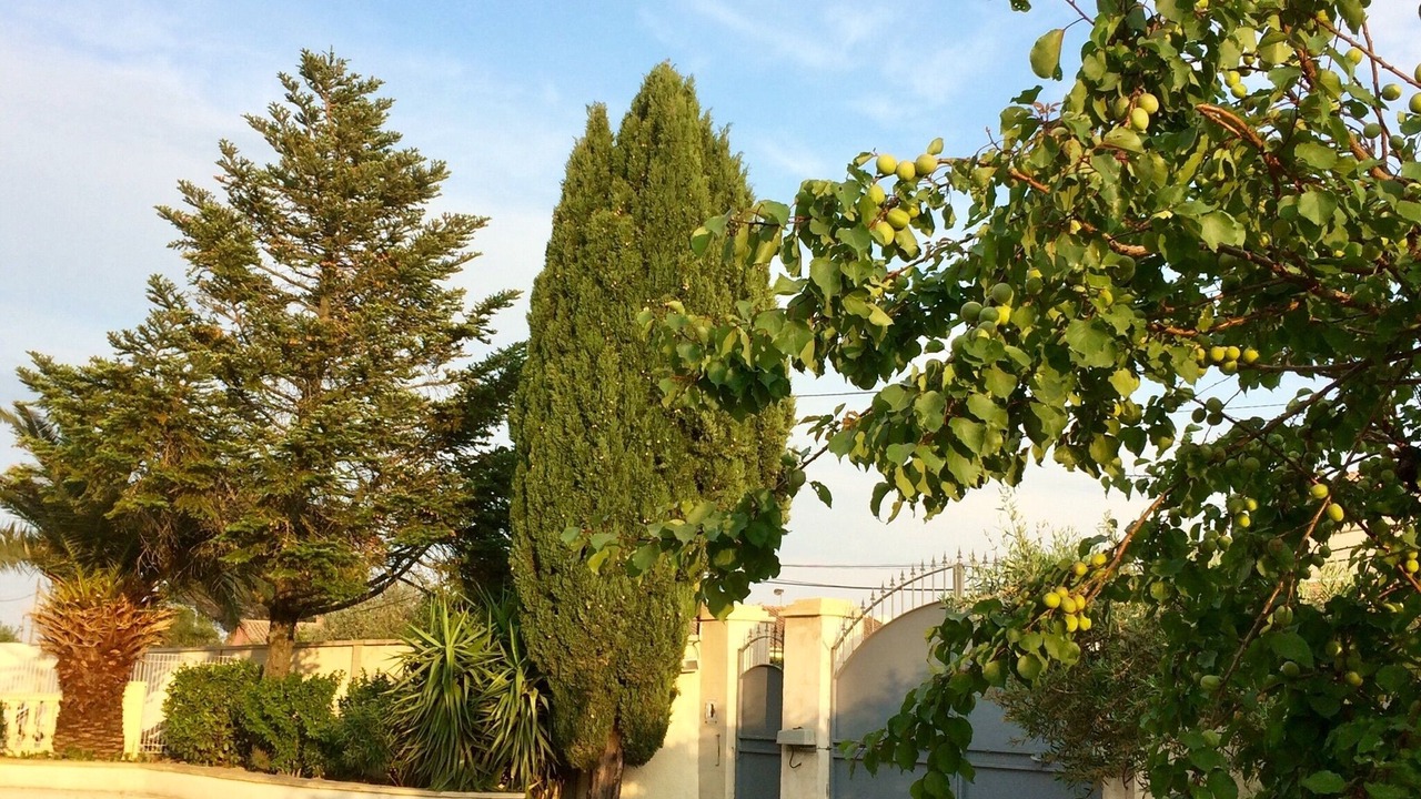 Photo of Outdoor in Meynes