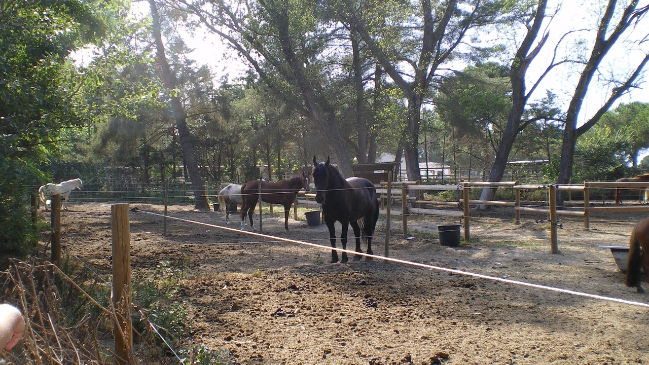 Photo of Outdoor in Le Couchant