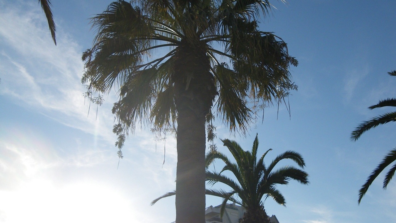 Photo of Outdoor in Le Couchant