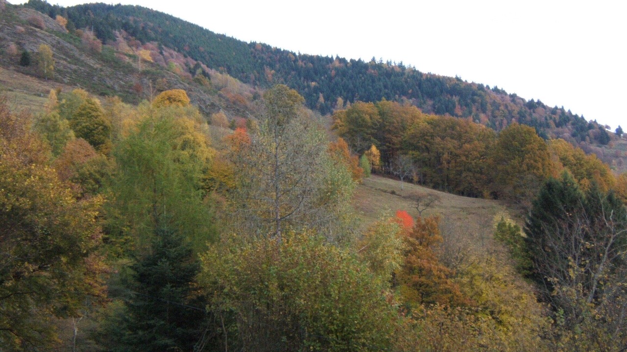 Photo of Others in Oderen