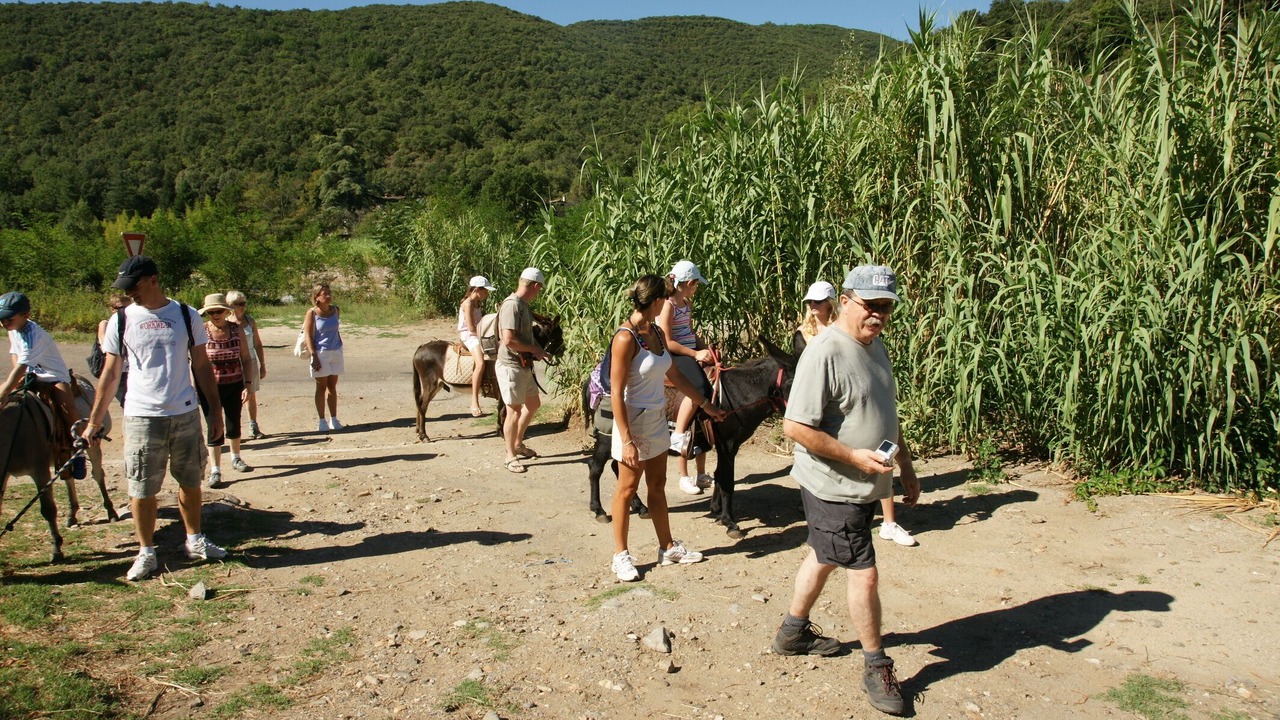 Photo of Others in Saint-Jean-du-Gard