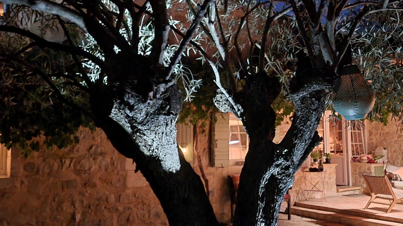 Photo of Outdoor in Lussan