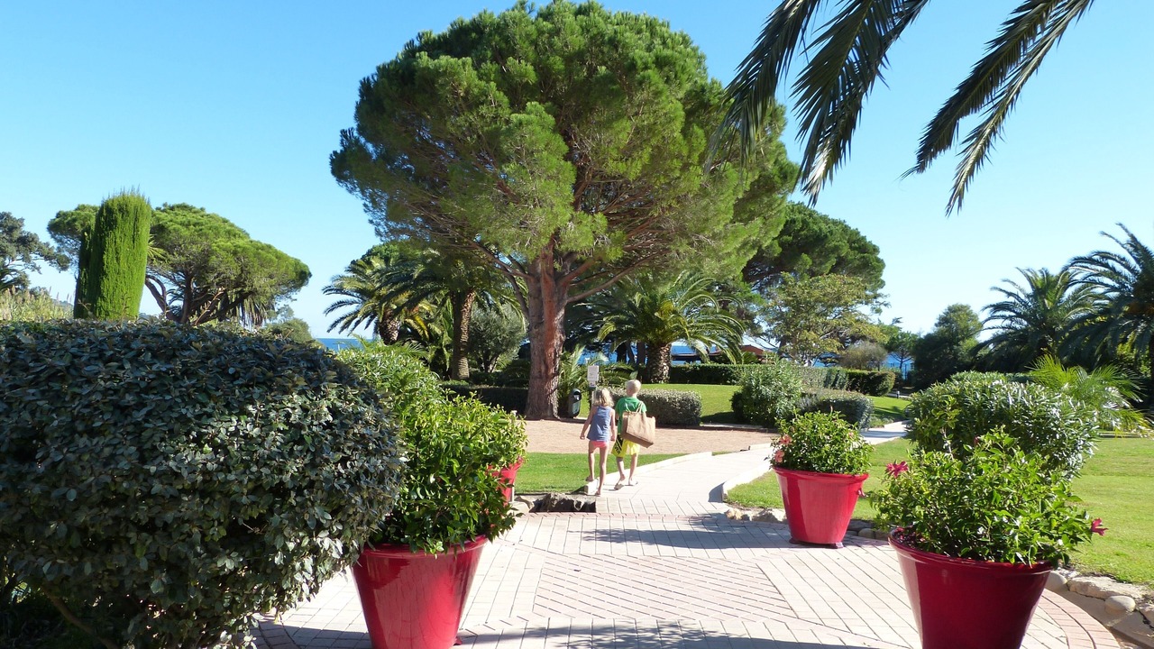 Photo of Outdoor in Le Lavandou
