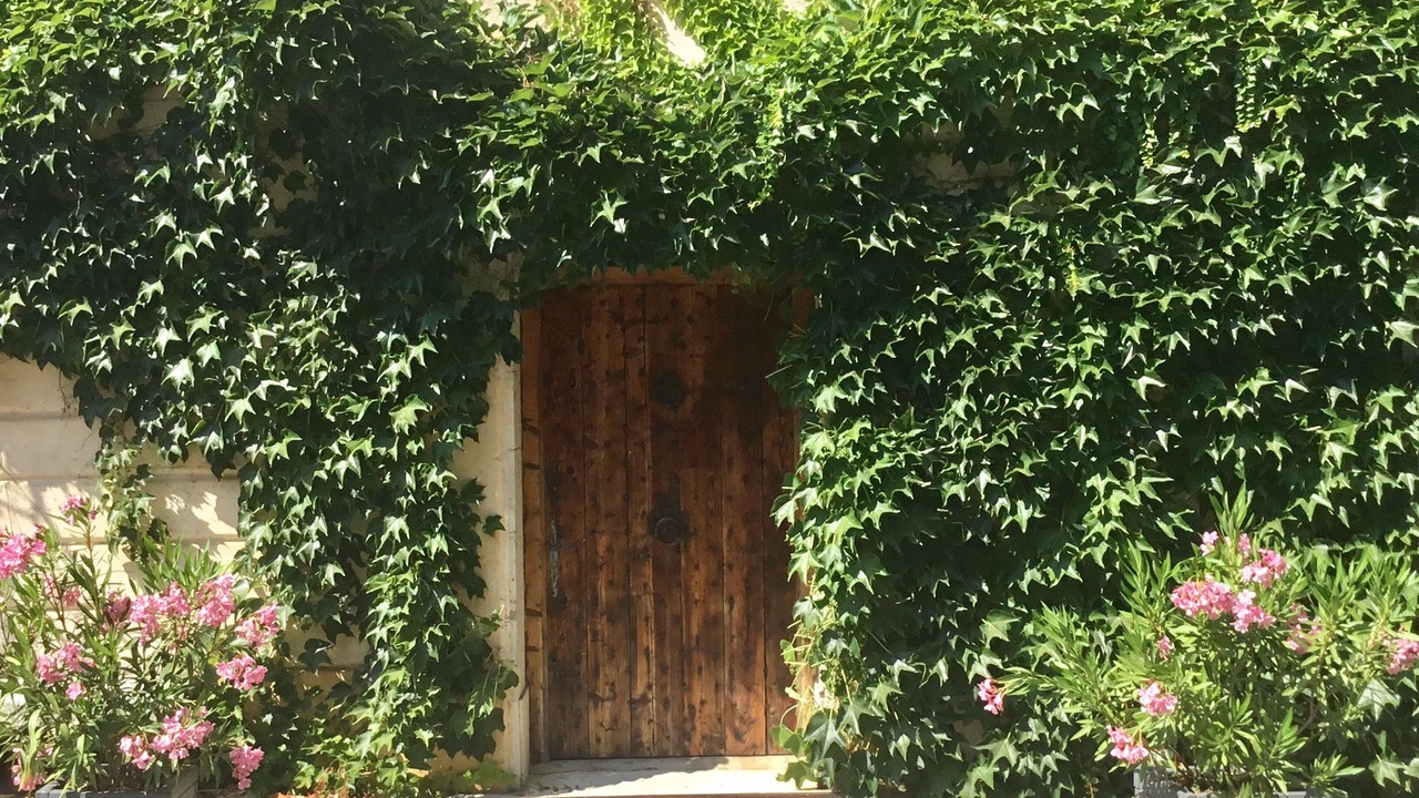 Photo of Outdoor in Goult