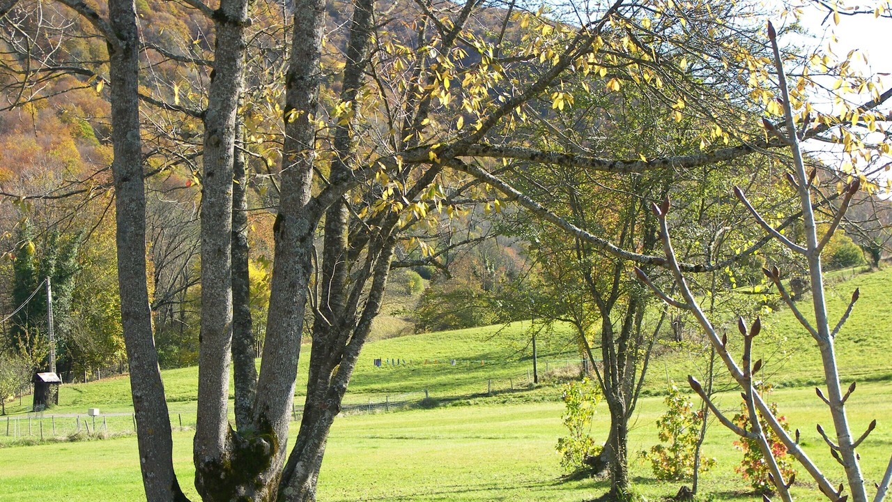 Photo of Outdoor in Sainte-Marie-de-Campan