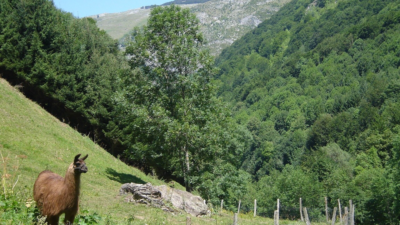 Photo of Outdoor in Sainte-Marie-de-Campan
