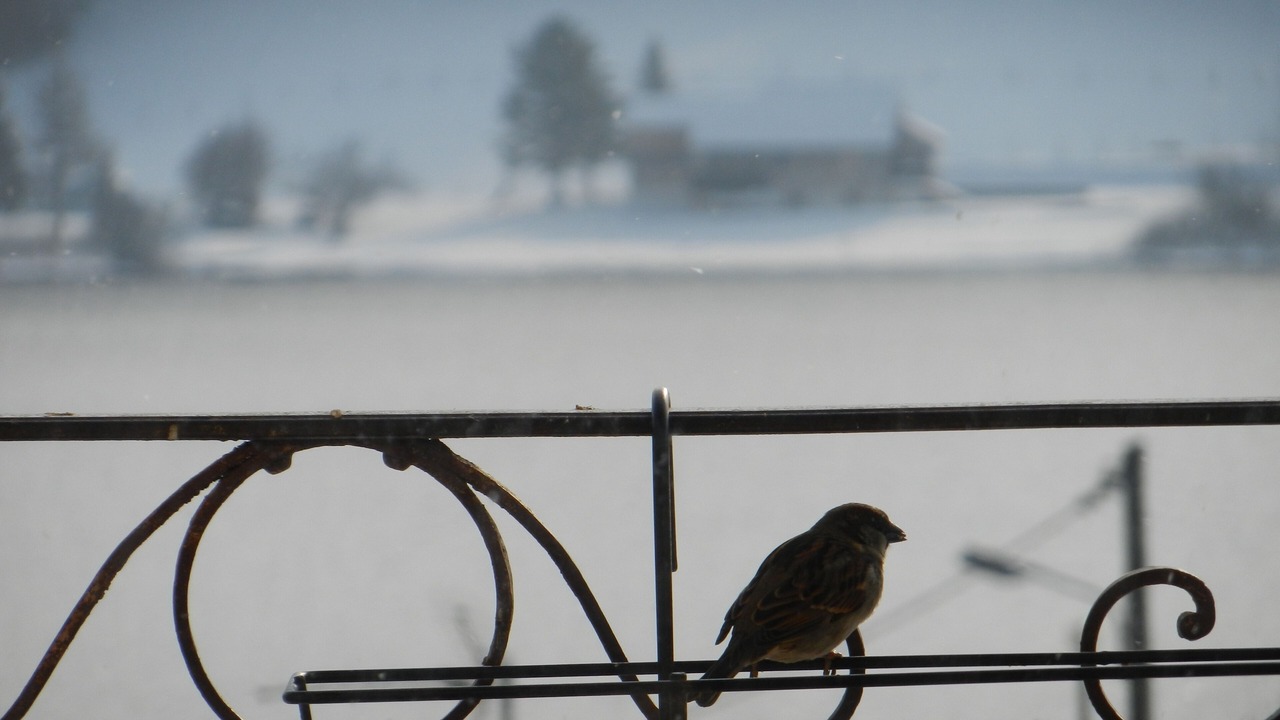 Photo of Others in Saint-Point-Lac