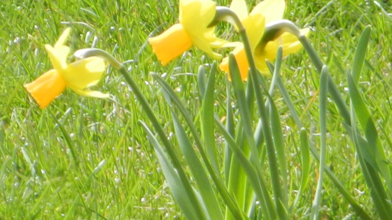 Photo of Outdoor in Saint-Point-Lac