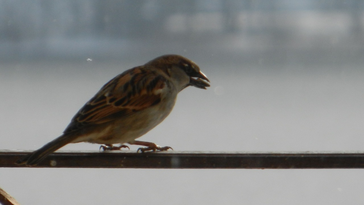 Photo of Others in Saint-Point-Lac