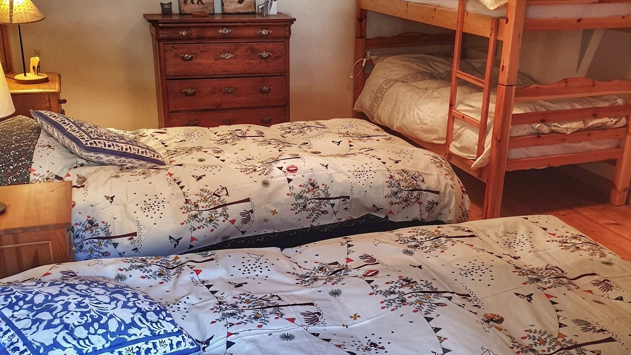 Photo of Bedroom in Entremont