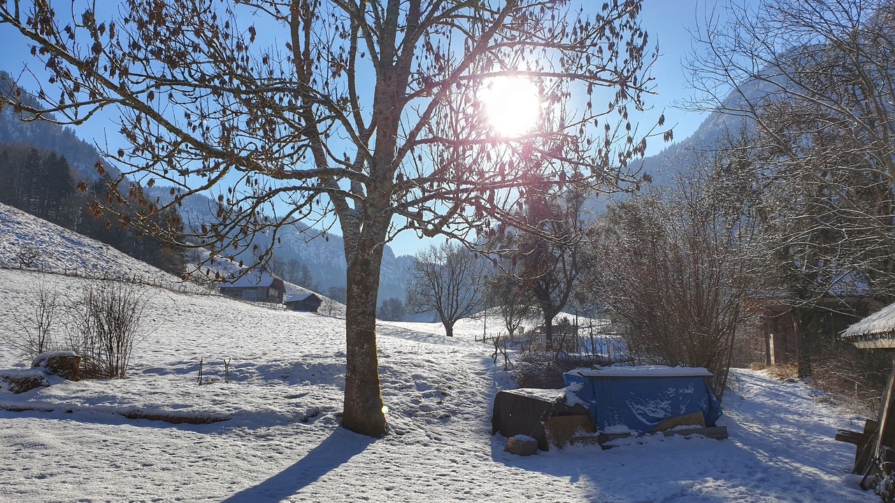 Photo of Outdoor in Entremont