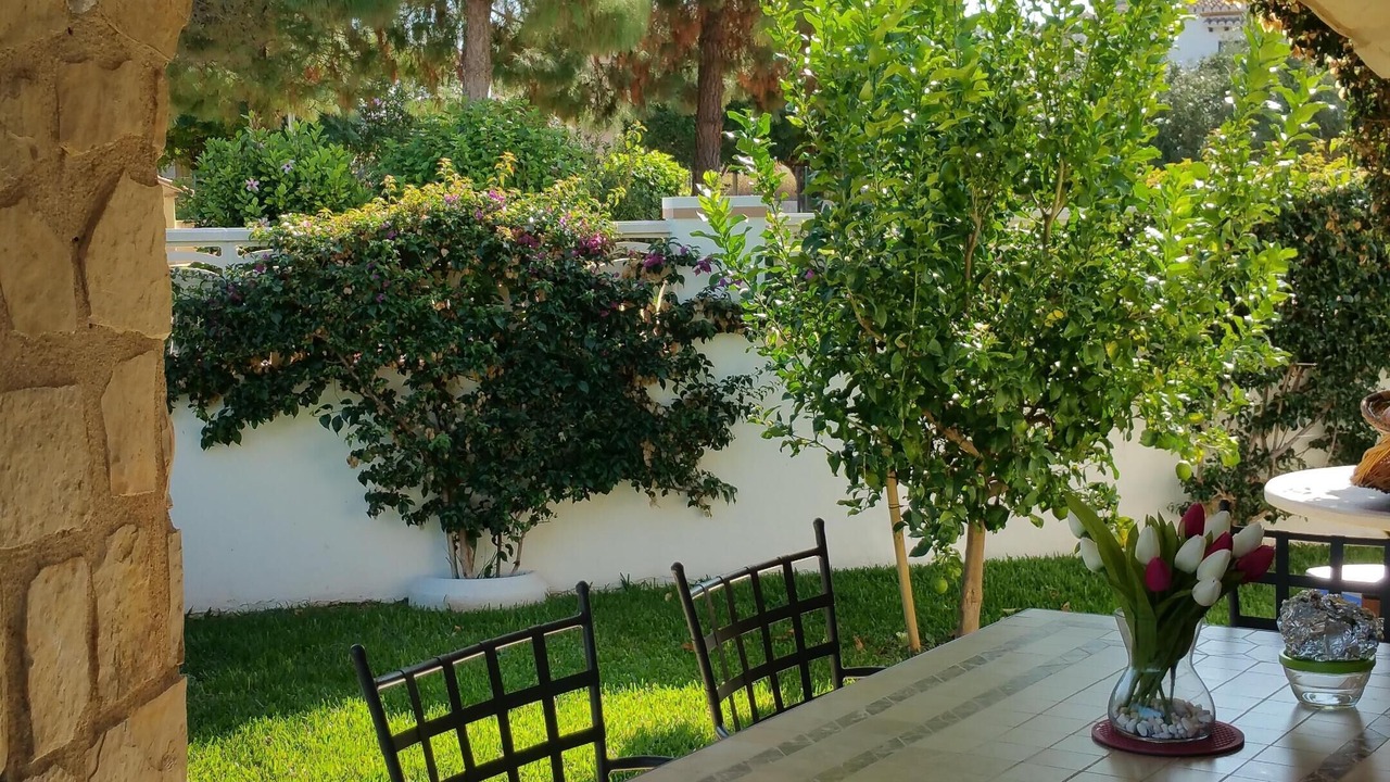Photo of Outdoor in Els Poblets