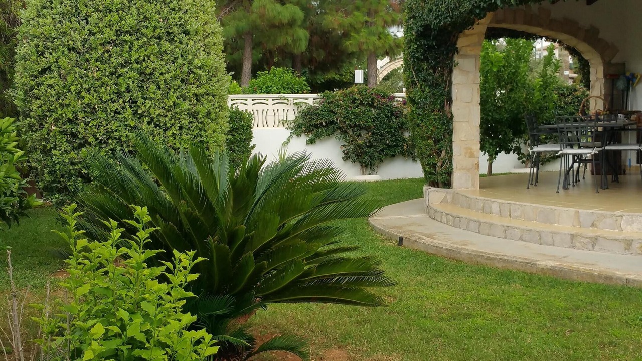 Photo of Outdoor in Els Poblets