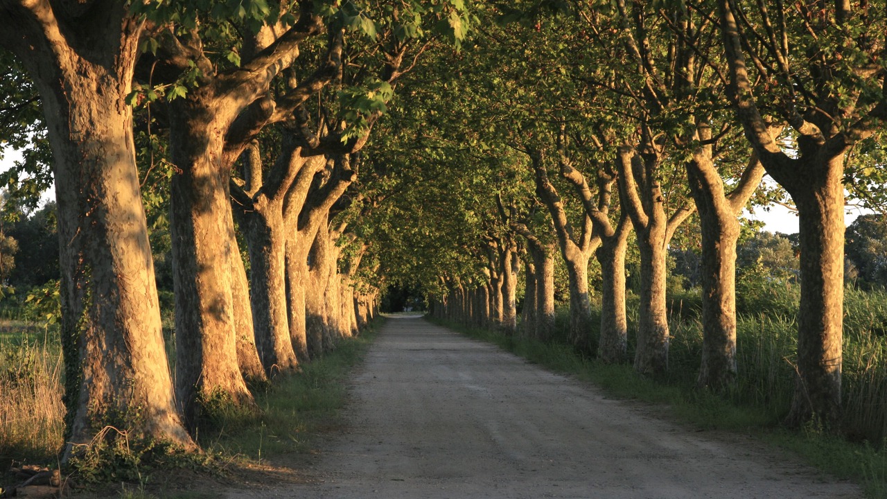 Photo of Outdoor in Albaron