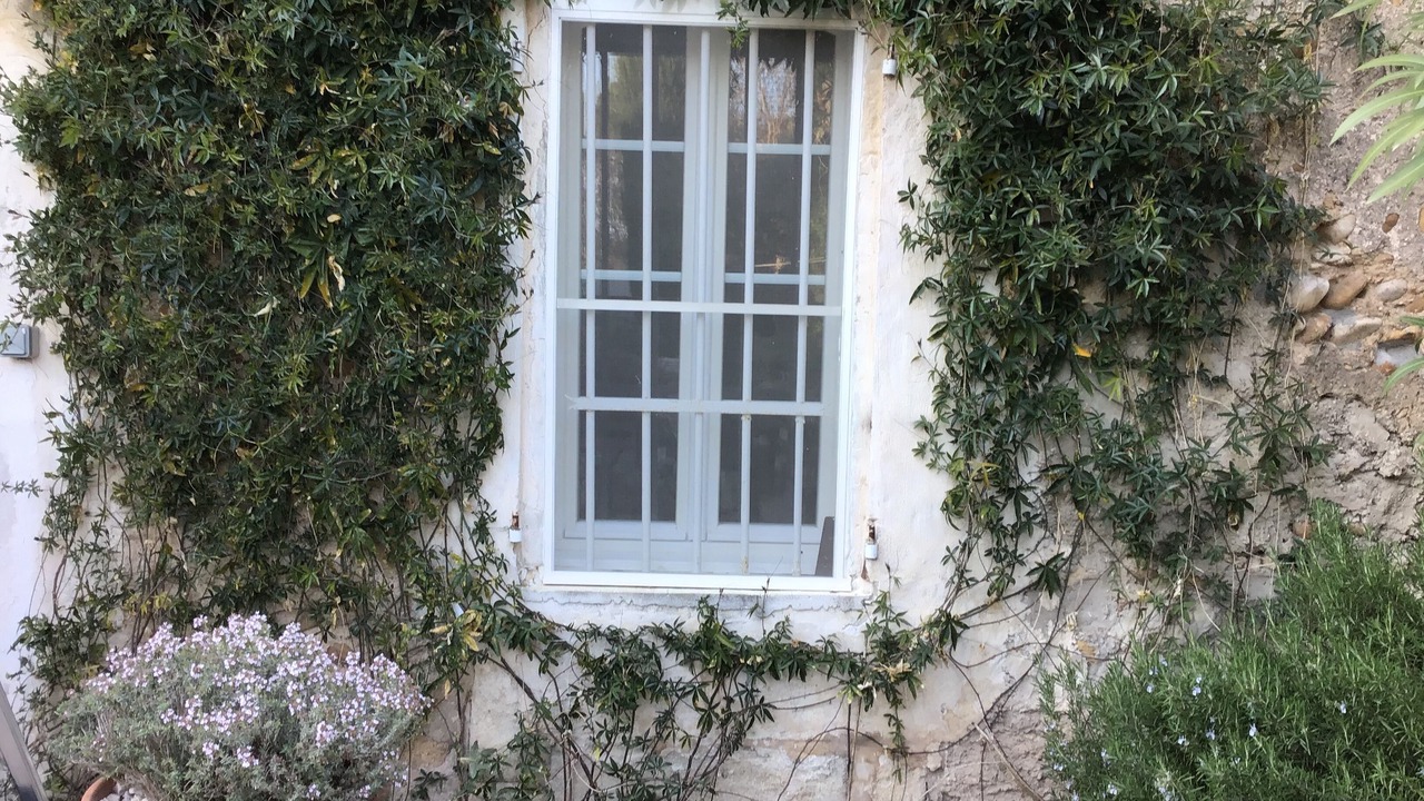 Photo of Outdoor in Saint-Martin-de-Crau