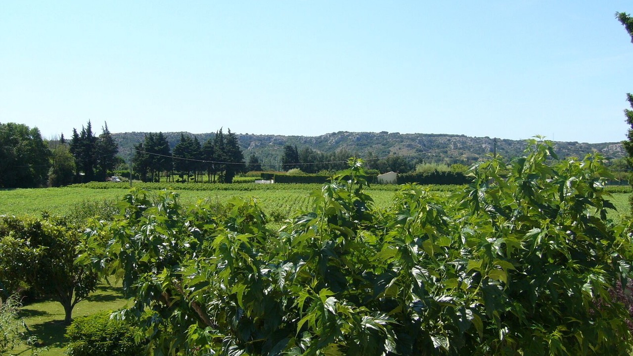 Photo of Outdoor in Roquemaure