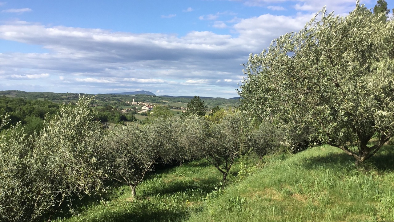 Photo of Outdoor in Cruviers-Lascours