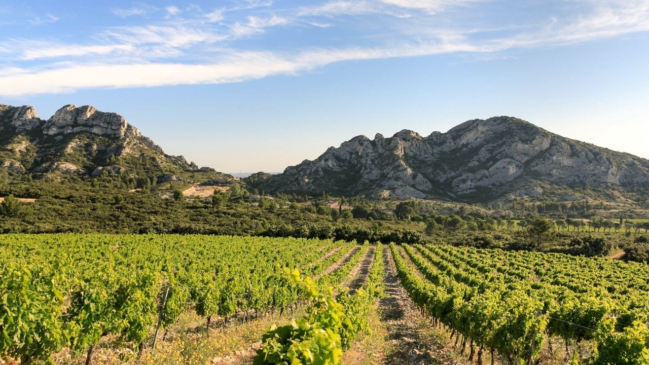 Photo of Others in St.-Remy-de-Provence