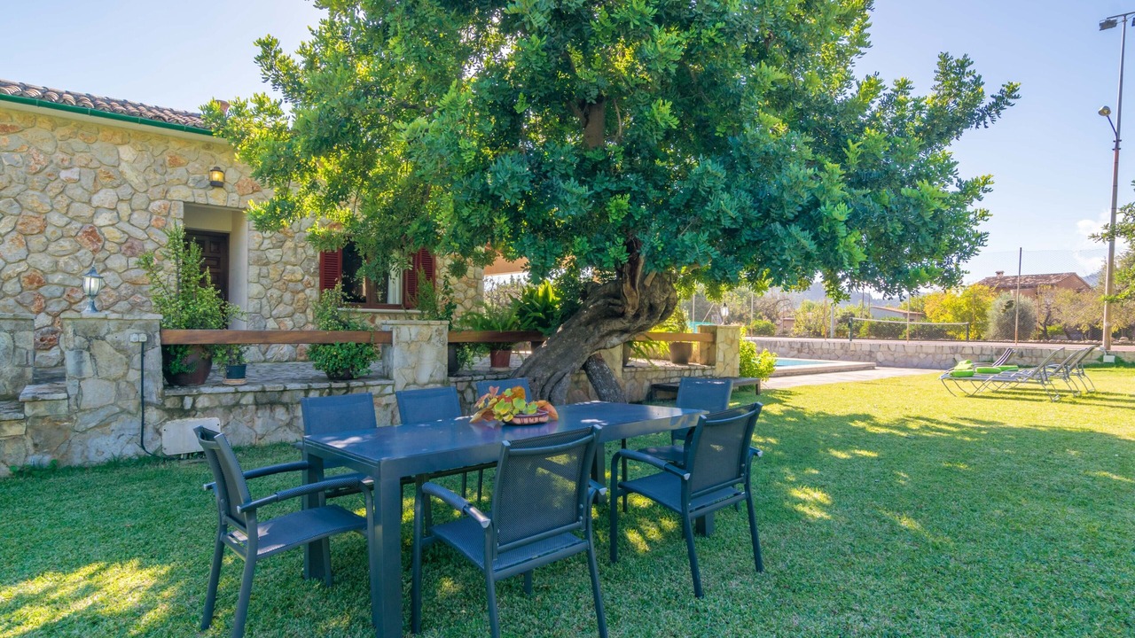 Photo of Outdoor in Selva