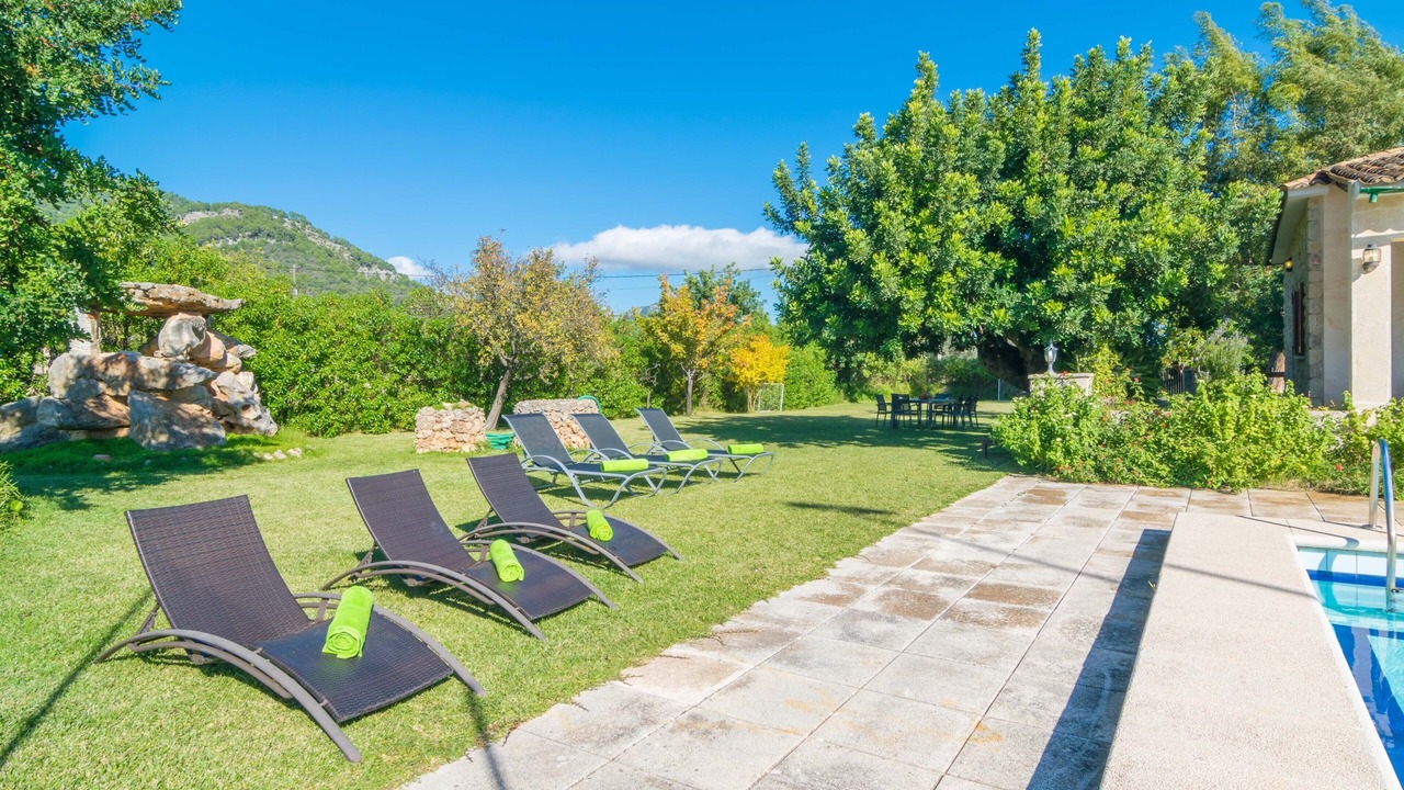 Photo of Outdoor in Selva
