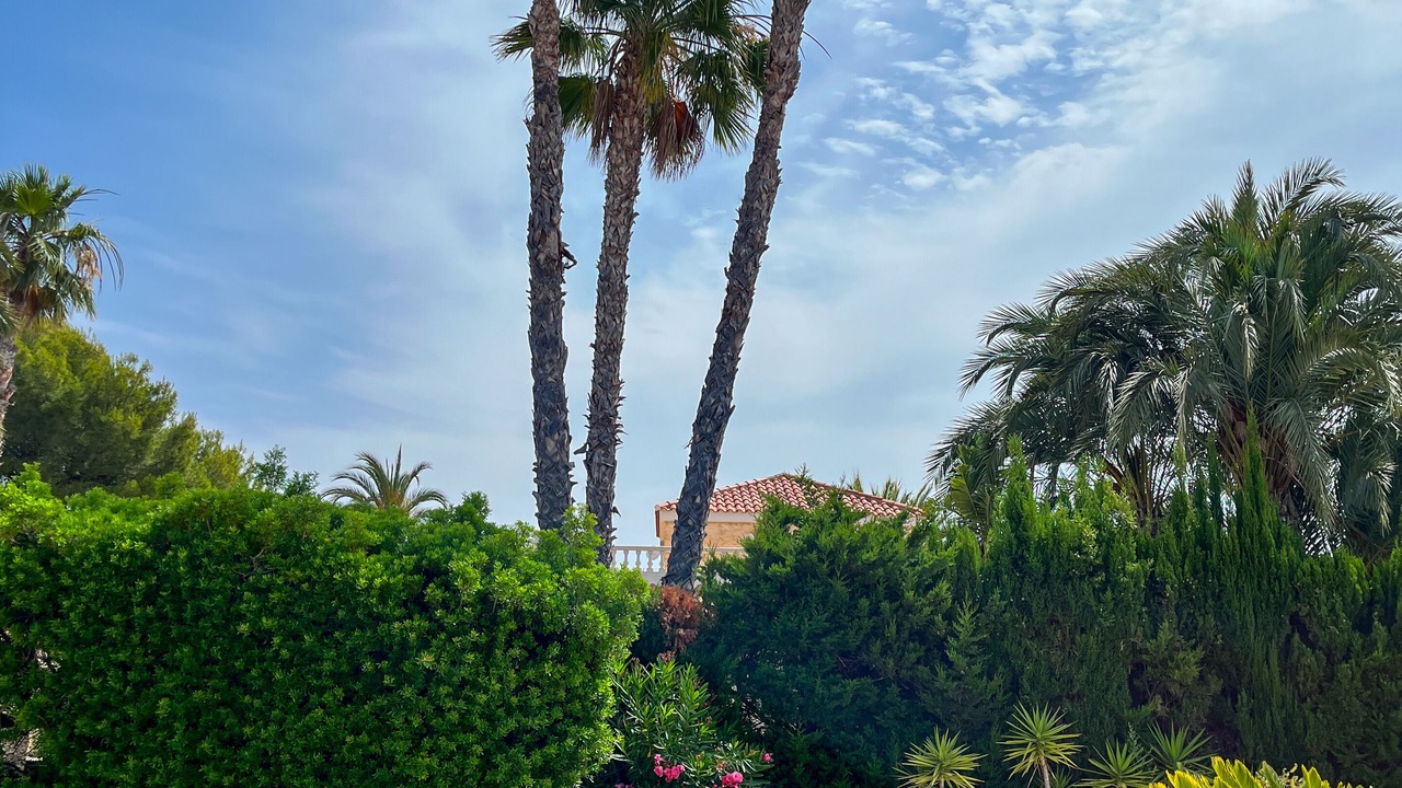 Photo of Outdoor in Coveta Fuma