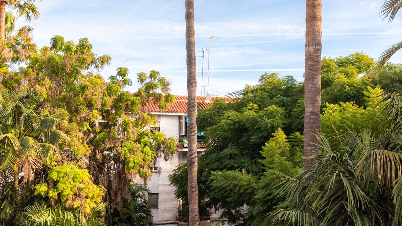Photo of Outdoor in Historic Center of Estepona