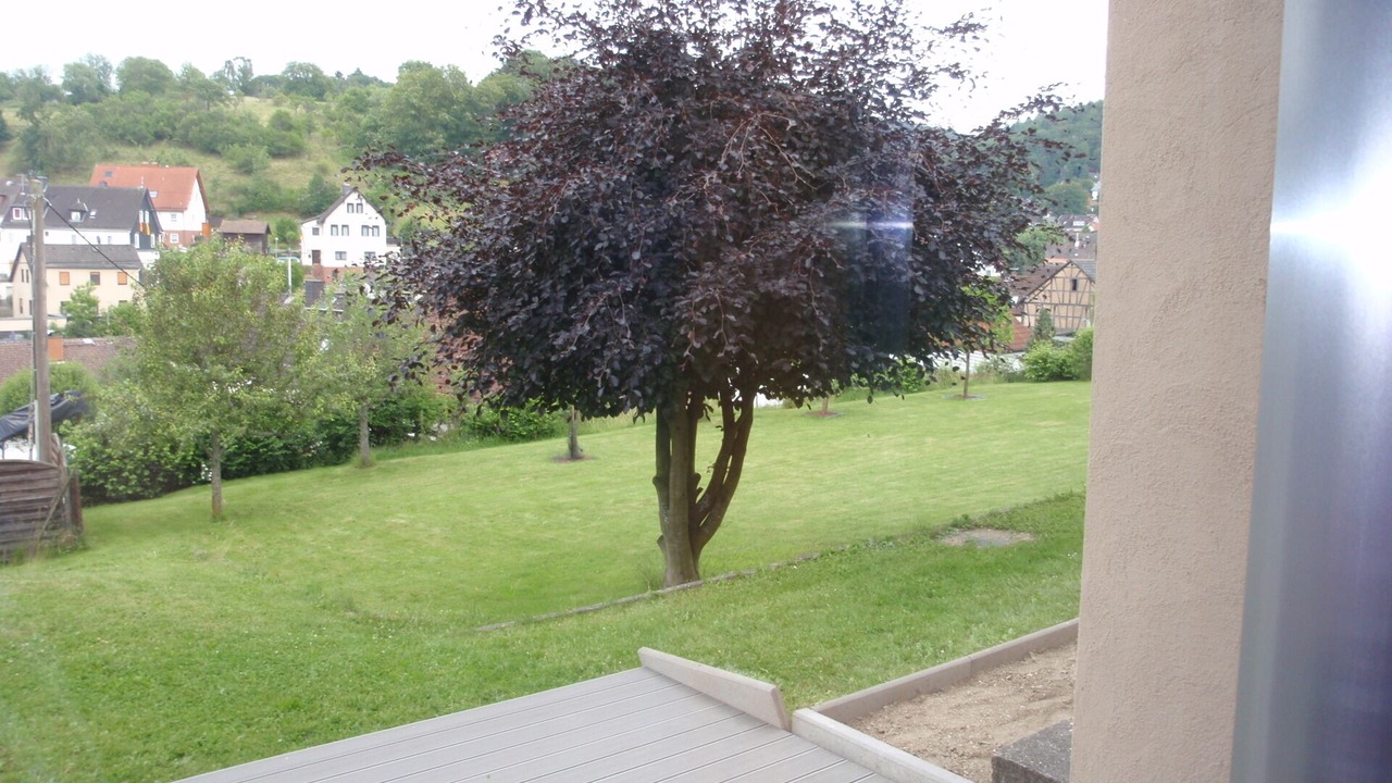 Photo of Outdoor in Schmitten