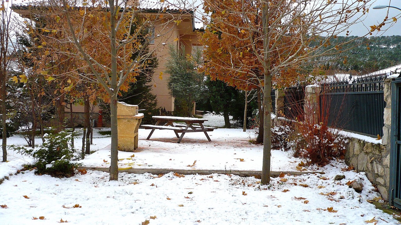 Photo of Outdoor in Becerril de la Sierra