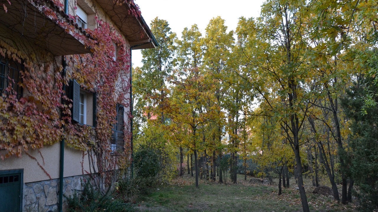 Photo of Outdoor in Becerril de la Sierra